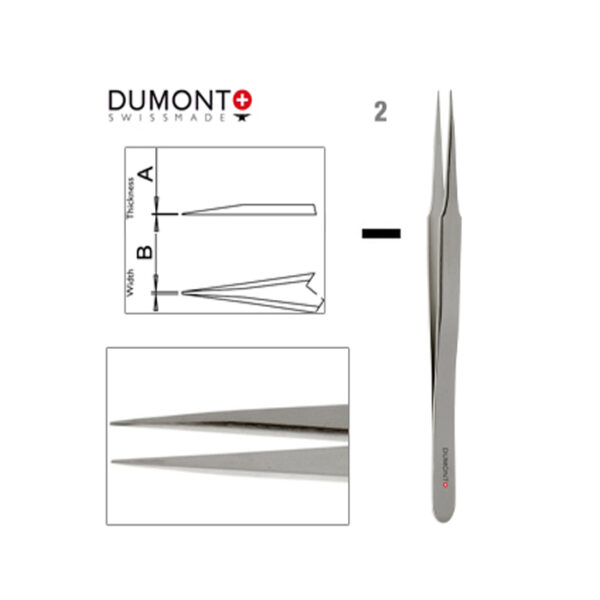 Dumont Dumoxel #2 Tweezers Antimagnetisches Stahl 120mm Schweizer Uhrmacherwerkzeug