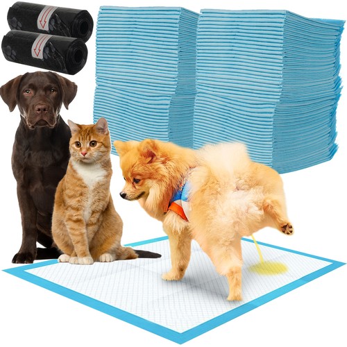 Absorbierende Hygienische Tierpads – 100 Stück