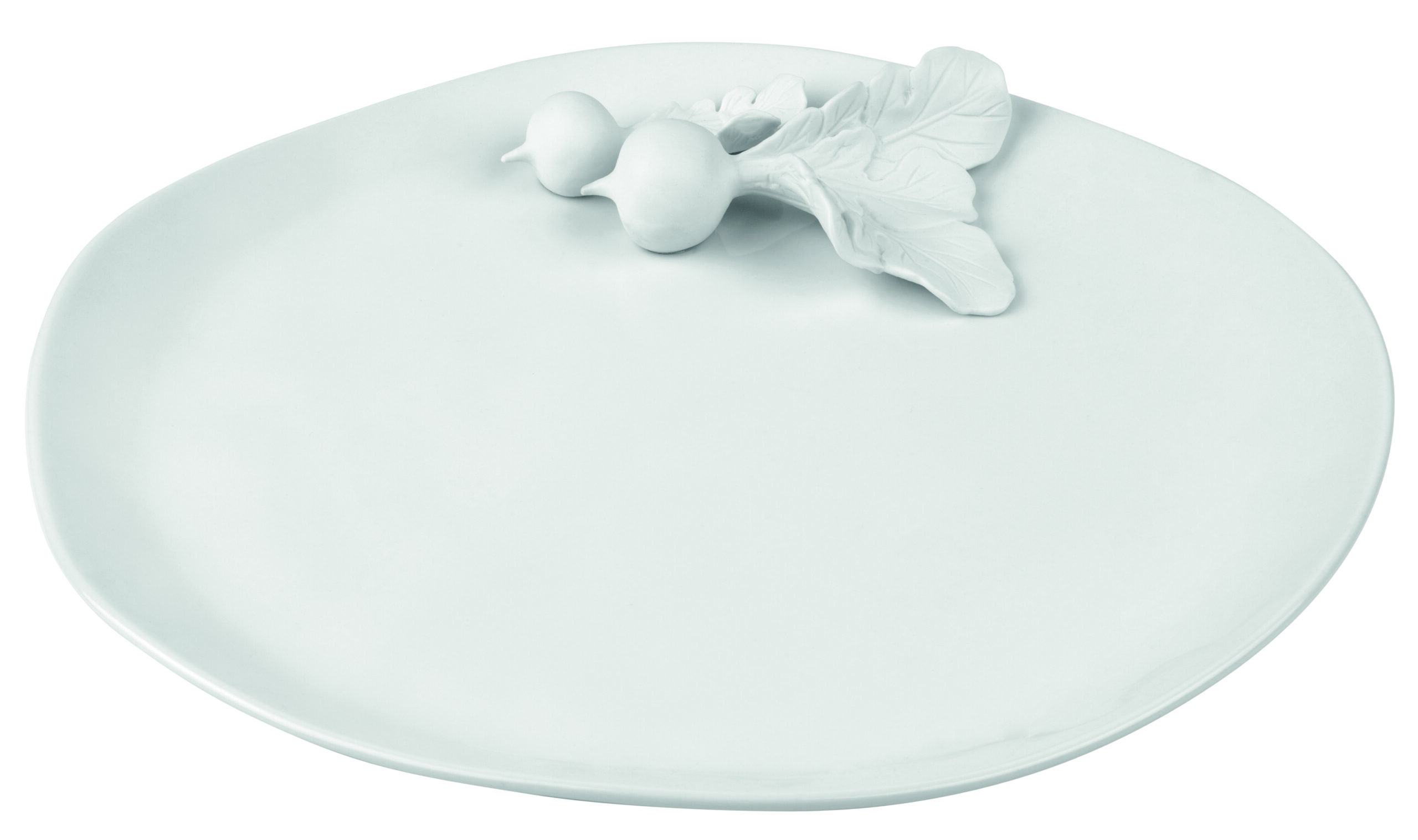 Porcelain Teller Räder Radiese