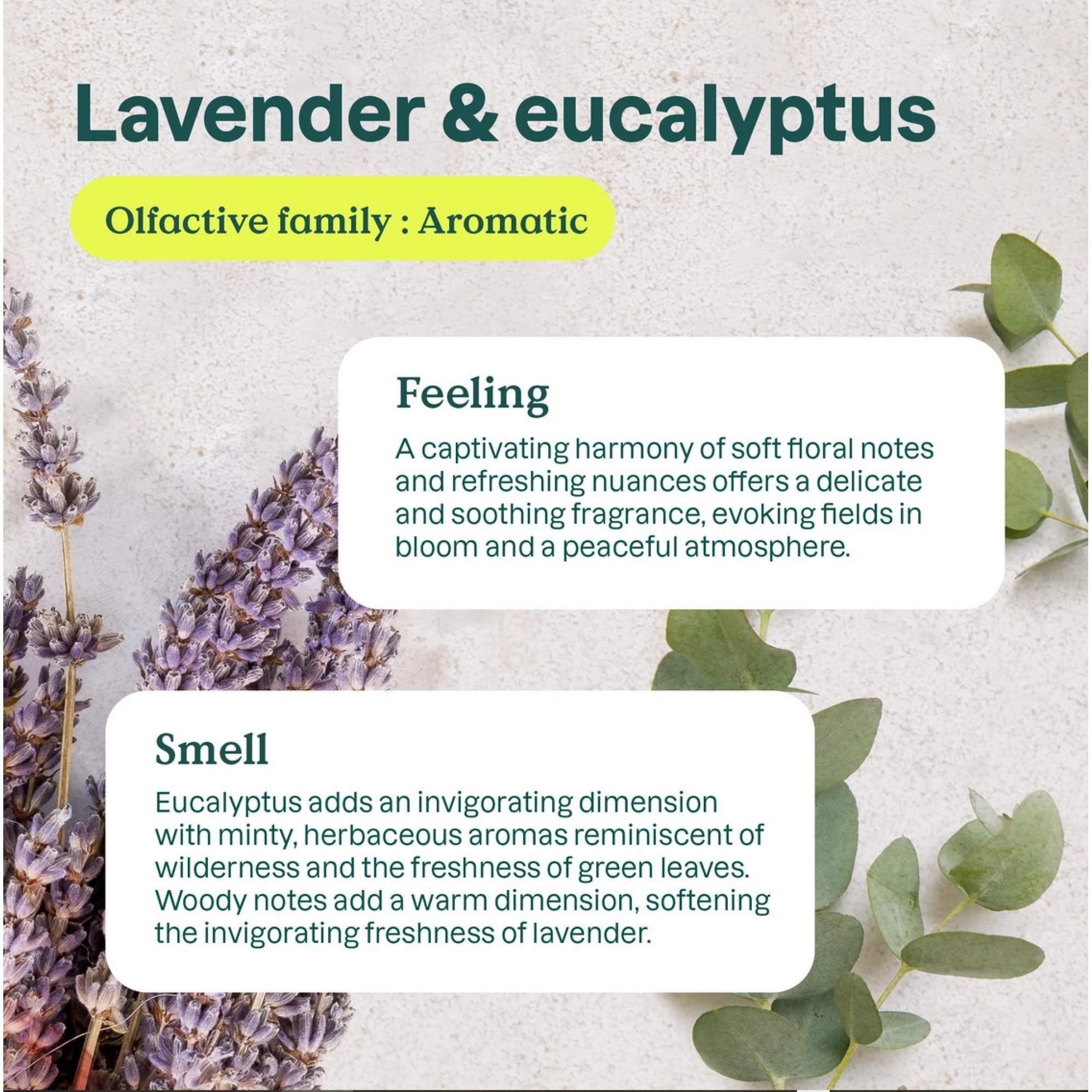 Luftreiniger, Lavendel & Eukalyptus, 227 g, ATTITUDE - Image 4