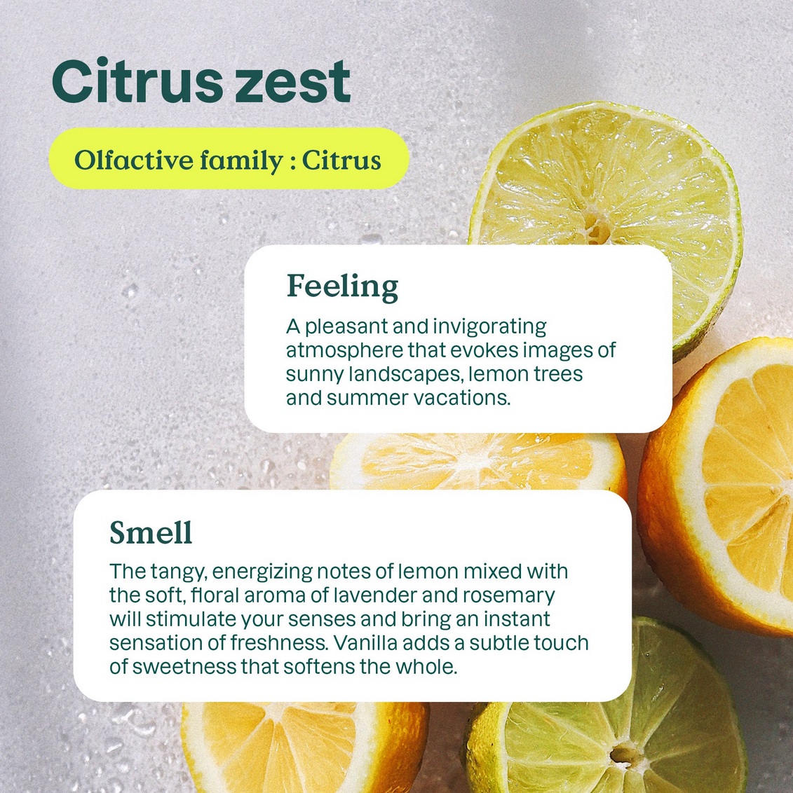 Badezimmerreiniger – Citrus Zest, ATTITUDE - Image 2