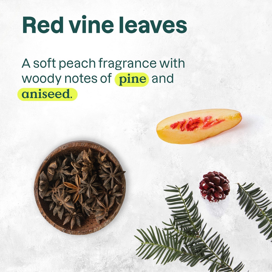 ATTITUDE Glowing Shower Gel, Vine Leaves und Pflaume, Super leaves - Image 2