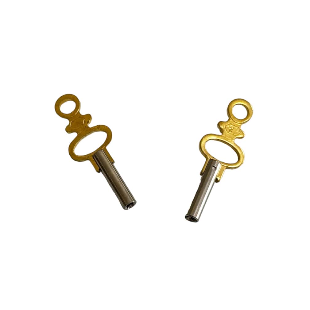 Set von 20 Taschenschlüssel-Schlüssel mit Nickel-beschichtetem Stahlschaft und - Image 2